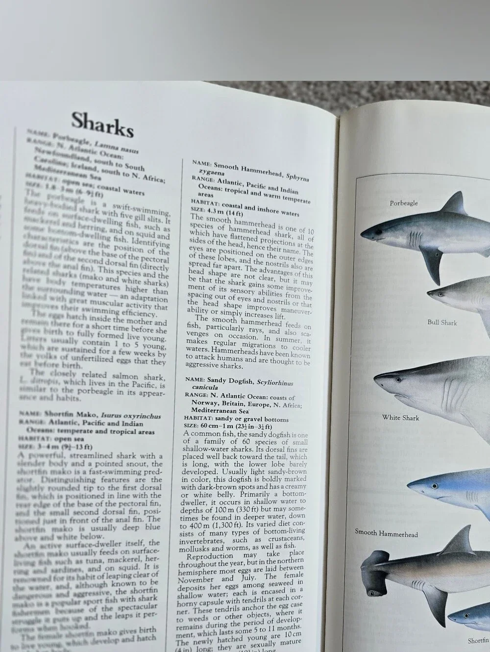 N/A macmillan illustrated